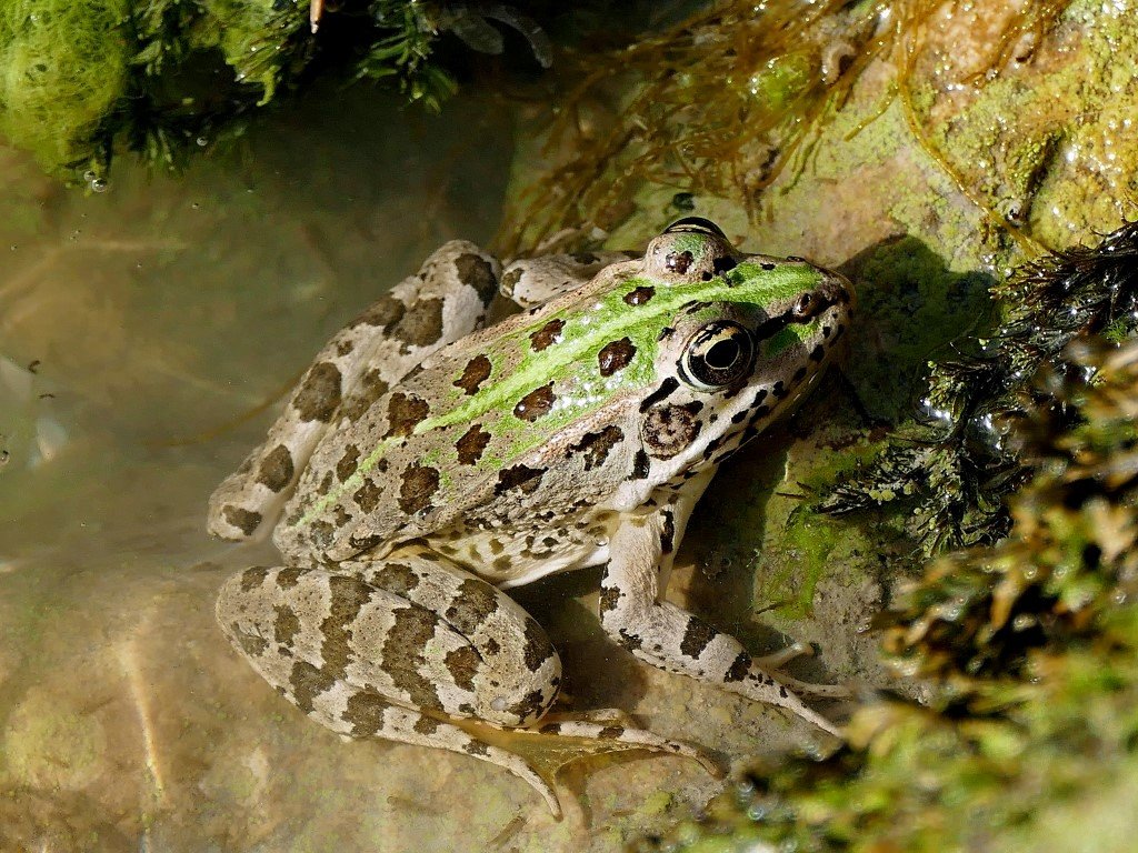 Photograph