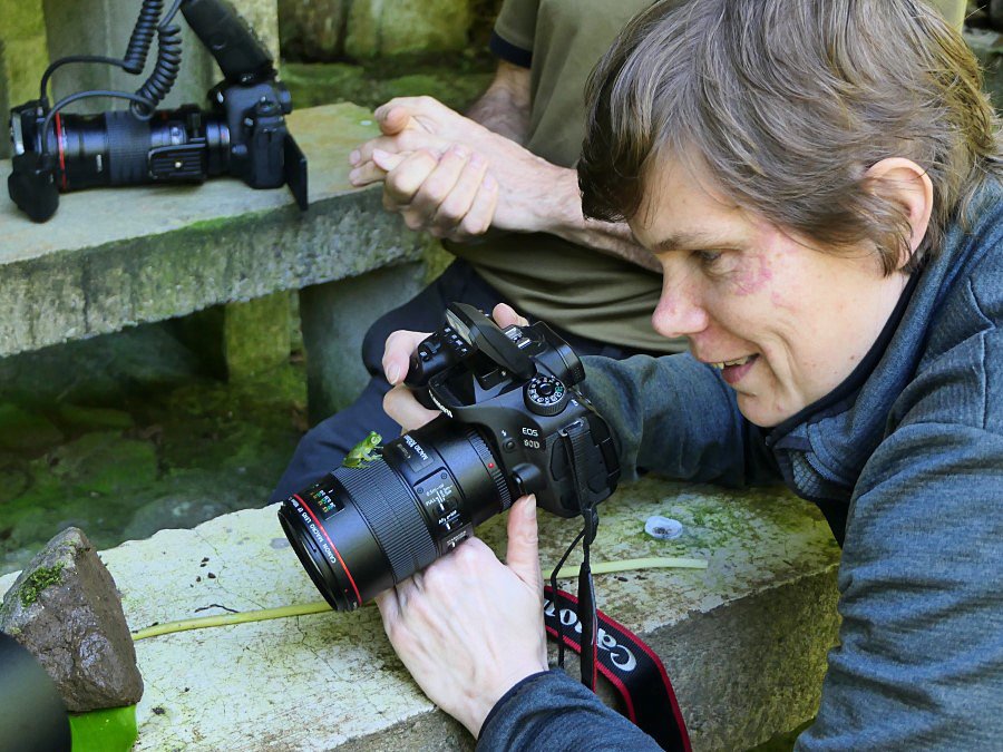 Photograph