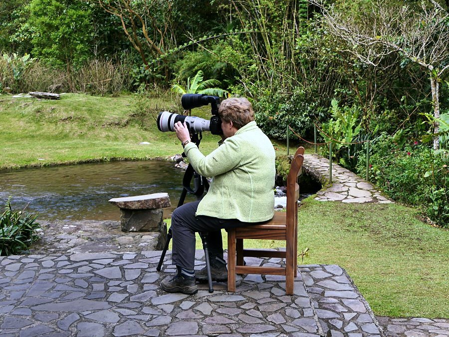 Photograph