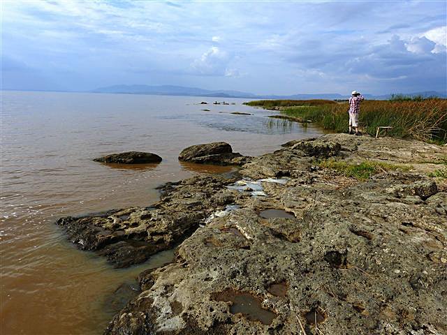 Photograph