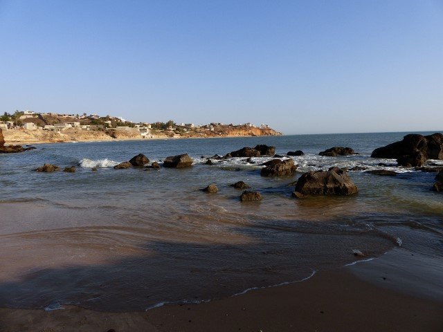 Photograph